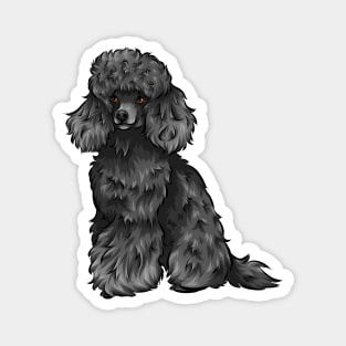 Cute Black Toy Poodle Dog Magnet