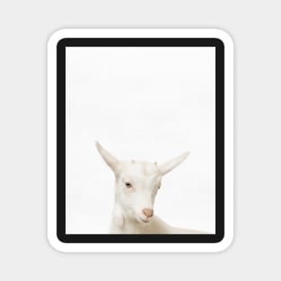 Goat print, Nursery, Animal, Kids room, Modern art, Wall decor Magnet