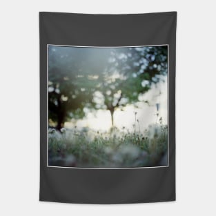 Dandy Dew Tapestry