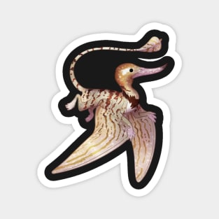 Cozy Rhamphorhynchus Magnet