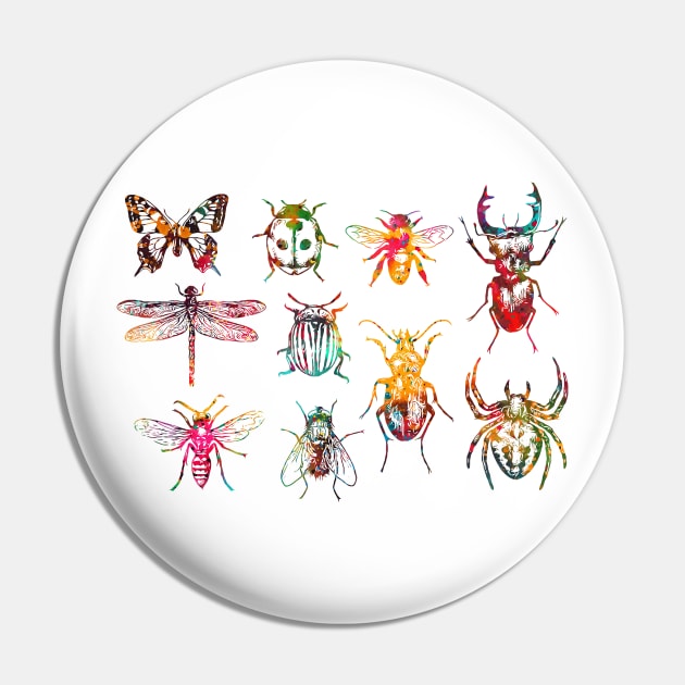 Insect Collection Pin by erzebeth