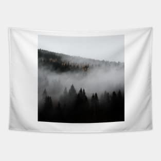 Misty European Forest After Rain Tapestry