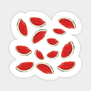 Watermelon Pieces Magnet