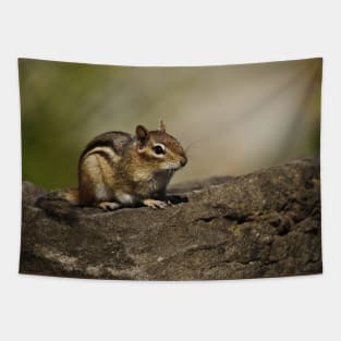 Chipmunk Tapestry