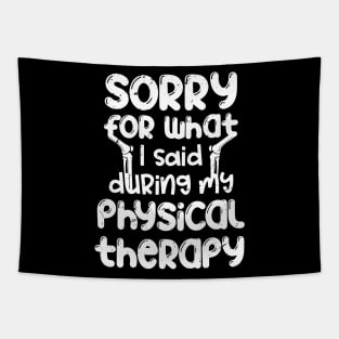 Sorry for what I said during my physical therapy, knee surgery gift, knee recovery Tapestry