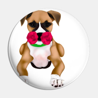 Cute Boxer Drawing Pin