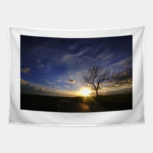 Sunset Tree Tapestry