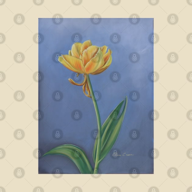 Yellow Tulip, welcome Spring! by ElenaCasiglio
