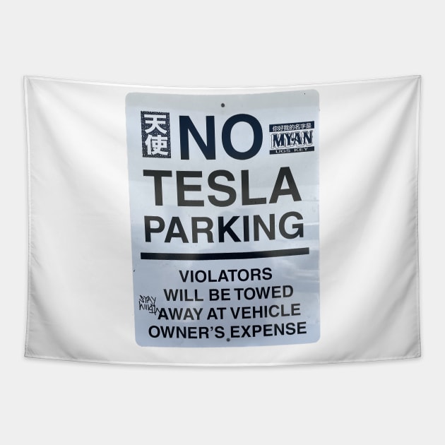 The Tesla no no Tapestry by Draco Inc.