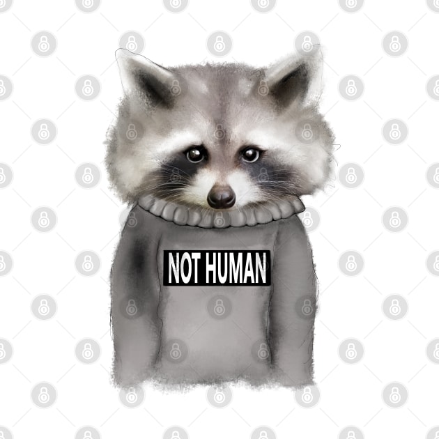 Raccoon Not human by msmart