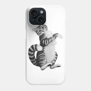 Calico Cat Phone Case