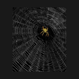 spider T-Shirt