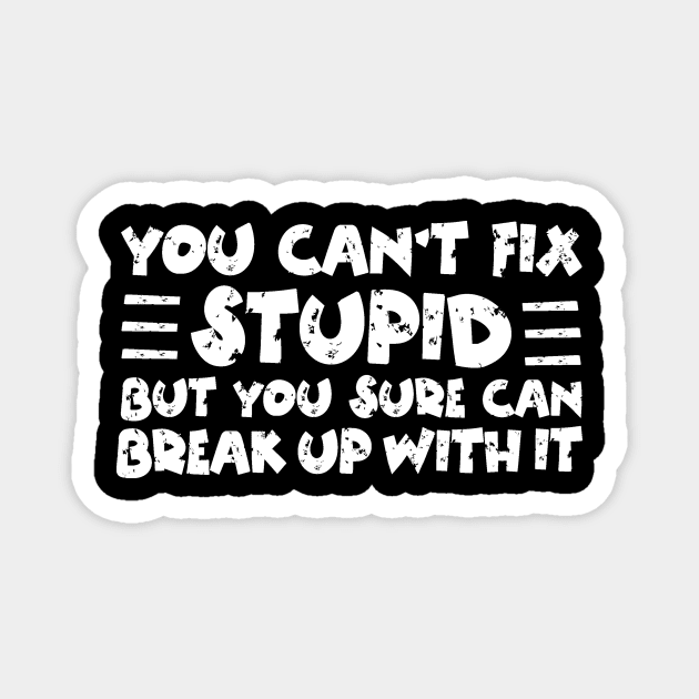 You Can't Fix Stupid Magnet by The WYLD Tribe