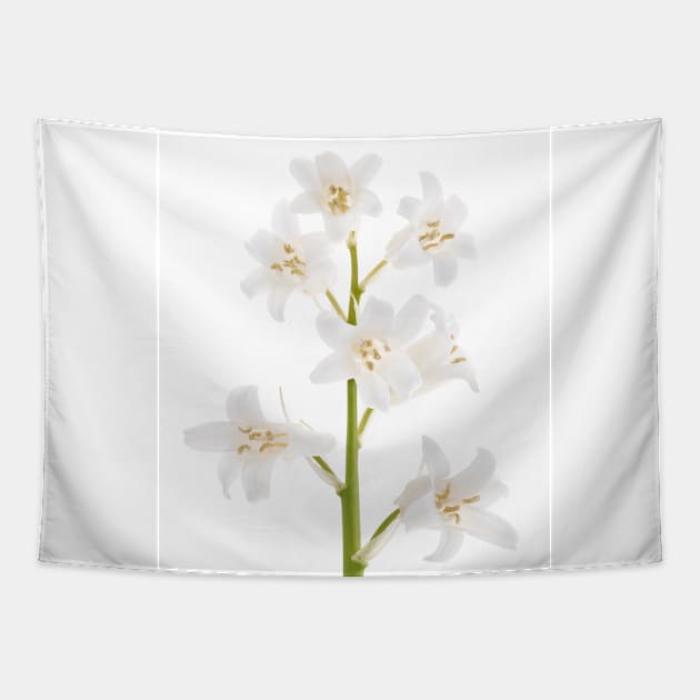 White bluebell Tapestry by rheyes