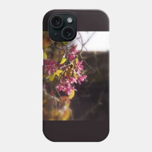 red Malus 'Radiant' crab apple blossoms #9 Phone Case