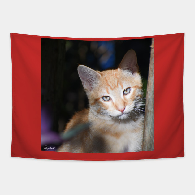 Buttermilk Kitten Tapestry Teepublic Au