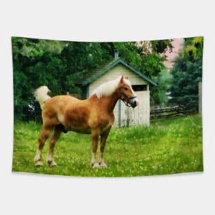 Horses - Palomino in Pasture Tapestry