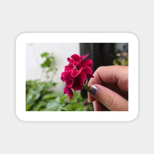 Hand with geranium flower Magnet