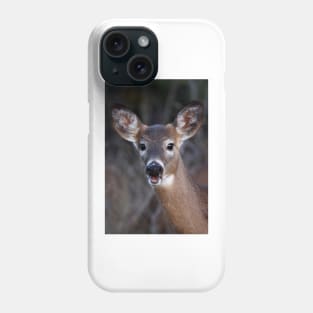 Well hello there! - White-tailed Deer Phone Case