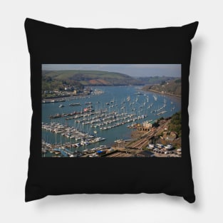 The River Dart Pillow