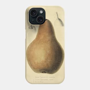 Vintage Buttered Capiaumont Vanmous Horticultural review (1850) Phone Case