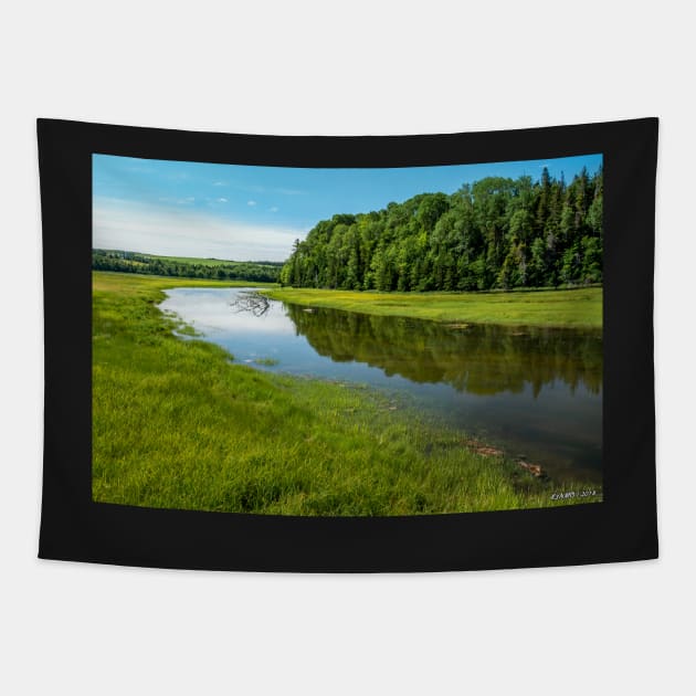Mabou River Tapestry by kenmo