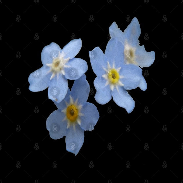 Forget Me Nots Remembrance Flowers by taiche