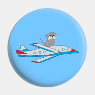 cat on the plane Pin