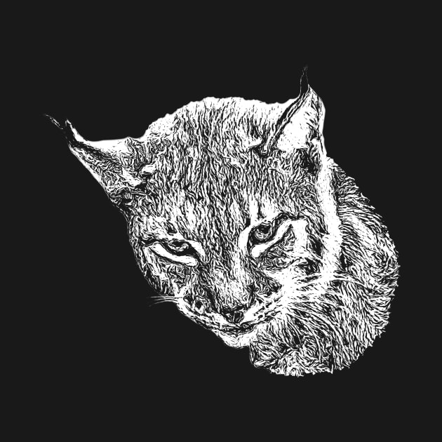 Lynx by Guardi