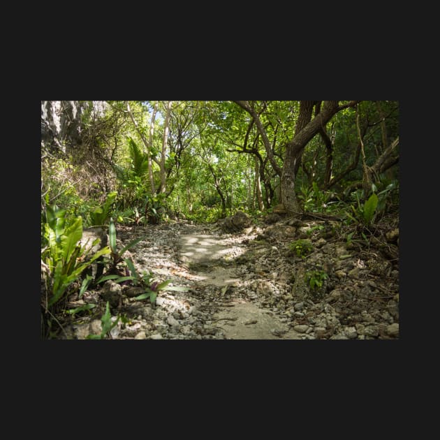 Niue walking track. by sma1050