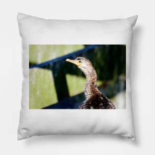 Juvenile Cormorant Profile Pillow