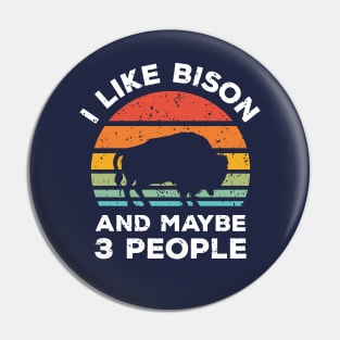 I Like Bison and Maybe 3 People, Retro Vintage Sunset with Style Old Grainy Grunge Texture Pin