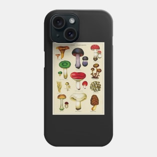 Vintage Fungi Chart Phone Case