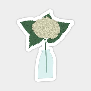 Floral drawing III: white hydrangea png Magnet