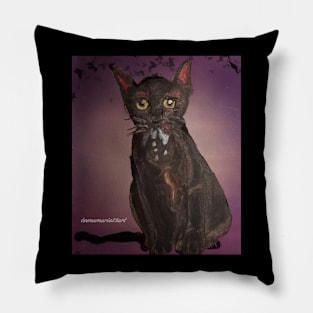 Black Cat Pillow