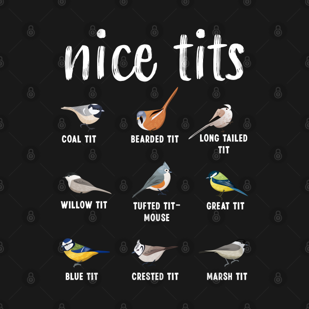 tits bird shirt