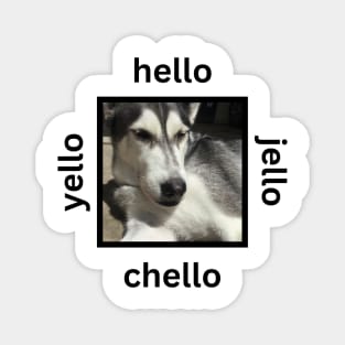 Husky Hello Jello Simple Minimalist Design Magnet