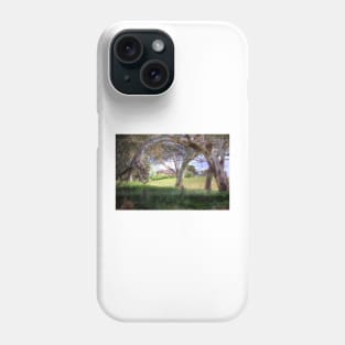 Farm House - Adelaide Hills, South Australia Phone Case