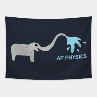 AP Physics Tapestry