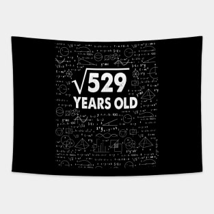 23 years old 23th birthday Gift Square Root of 529 Science Lover Gifts Bday Tapestry