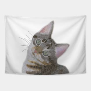 Colored Pencil Kitten Portrait Tapestry