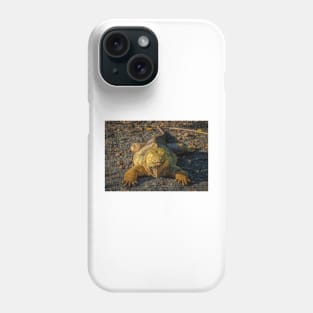 Galapagos Land Iguana, Galapagos Islands Phone Case