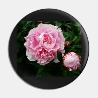 peony Pin