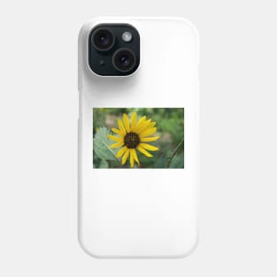 81515 sunflower Phone Case