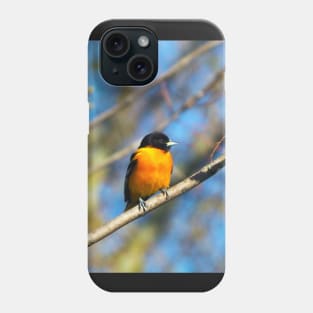 Baltimore Oriole Perched On A Tree Branch Phone Case