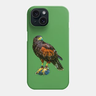 Harris Hawk Phone Case