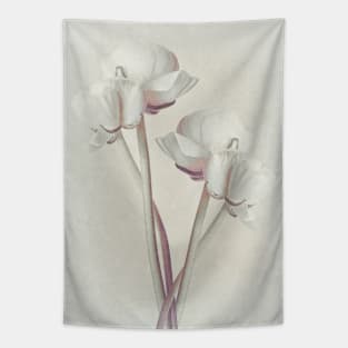 Ranunculus Art 2 Tapestry