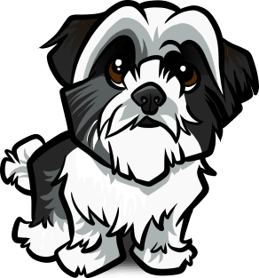 Shih Tzu - Black and White Magnet