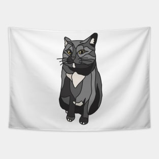 Black and White Cat Side Eye Tapestry