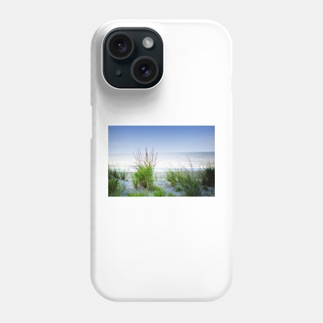 Sea Oats On The Dune Phone Case by JimDeFazioPhotography